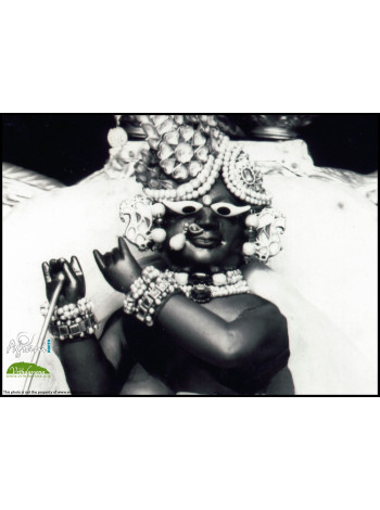 Священный Маха-прасад из храма Радхарамана (100 г)