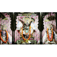 Маха-прасад из храма Радха-Гопинатха, 100 гр \ Maha-prasad Radha-Gopinatha, 100 gr Маха-прасад из храма Радха-Гопинатха, 100 гр \ Maha-prasad Radha-Gopinatha, 100 gr