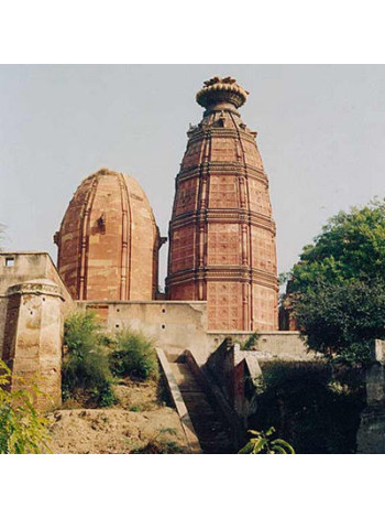 Маха-прасад из храма Мадан-Мохан (100 г): Божественный вкус Индии