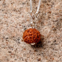Рудракша Адийоги с серебренной цепочкой, Иша Лайф; Adiyogi Rudraksha With Silver Chain, Isha Life