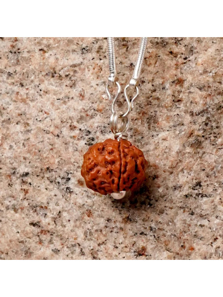 Рудракша Адийоги с серебренной цепочкой, Иша Лайф; Adiyogi Rudraksha With Silver Chain, Isha Life
