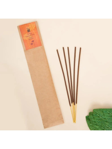 Благовония палочки "Бензоин", натуральные травяные, 10 шт., Иша Лайф; Benzoin Incense/Agarbatti  (Pack of 10 pc), Isha Life