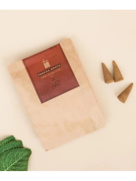 Благовония конусные "Огонь", натуральные травяные, 20 шт., Иша Лайф; Handmade Natural Fire Fragrance Cone (Pack of 20 pc), Isha Life