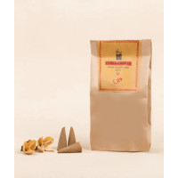 Благовония конусные "Вода", натуральные травяные, 20 шт., Иша Лайф; Handmade Natural Water Fragrance Cone (Pack of 20 pc), Isha Life Благовония конусные "Вода", натуральные травяные, 20 шт., Иша Лайф; Handmade Natural Water Fragrance Cone (Pack of 20 pc), Isha Life