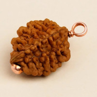 Рудракша Иша Двимукхи, Иша Лайф; Authentic Isha Dwimukhi Rudraksha bead, Isha Life Рудракша Иша Двимукхи, Иша Лайф; Authentic Isha Dwimukhi Rudraksha bead, Isha Life