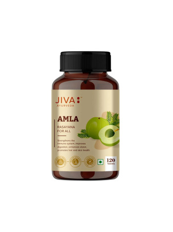 Амла, антиоксидант, 120 таблеток, Джива Аюрведа; Amla 120 Tablets, Jiva Ayurveda