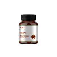 Виджайсар, контроль сахара, 60 таб., Джива Аюрведа; Vijaysar 60 Tablets, Jiva Ayurveda