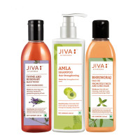 Набор для волос от выпадения: шампунь, масло, тоник от Jiva Ayurveda; Anti-Hair-Fall Combo (3 items), Jiva Ayurveda