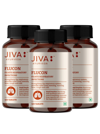 Флюкон, 120 таблеток, от распираторных инфекций, Джива Аюрведа; Flucon, 120 tablets, Jiva Ayurveda