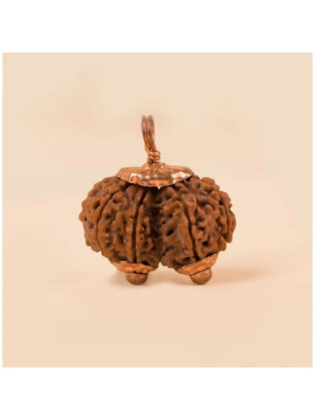 Кулон Рудракша сертифицированная Премиум качества; Rudraksha Bead Premium Quality