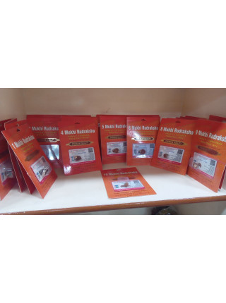 Кулон Рудракша сертифицированная Премиум качества; Rudraksha Bead Premium Quality