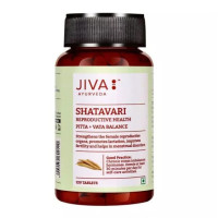Шатавари, 120 таблеток, производитель Джива Аюрведа; Shatavari 120 Tablets, Jiva Ayurveda Шатавари, 120 таблеток, производитель Джива Аюрведа; Shatavari 120 Tablets, Jiva Ayurveda