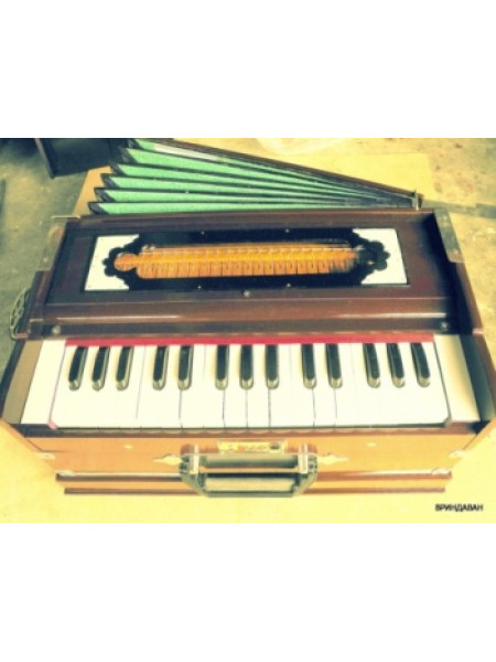 Физгармонь стандартная, индийские голоса, 2.5 октавы, 2 ряда