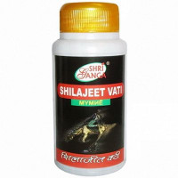 Шиладжит Вати: индийское мумиё, оздоровление организма, 100 г (300 таб.), производитель "Шри Ганга", Shilajeet Vati, 100 g, Sri Ganga Pharmacy