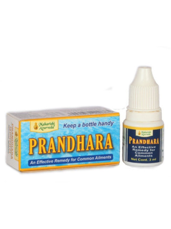Обезболивающие капли Пранадхара: быстрое и эффективное облегчение боли