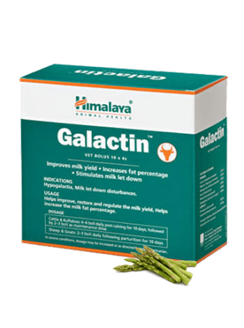 Галактин Хималая: 40 таблеток для повышения лактации у коров