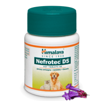 Нефротек ДС: препарат для мочеполовой системы собак и кошек Хималая, 60 таб., Nefrotec DS, Himalaya, 60 tab Нефротек ДС: препарат для мочеполовой системы собак и кошек Хималая, 60 таб., Nefrotec DS, Himalaya, 60 tab