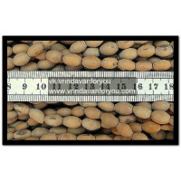 Кантхимала "Мриданга" №2 (1,2,3 ряда) / Kanthimala "Mridanga" №1 (1,2,3 rows) Кантхимала "Мриданга" №2 (1,2,3 ряда) / Kanthimala "Mridanga" №1 (1,2,3 rows)