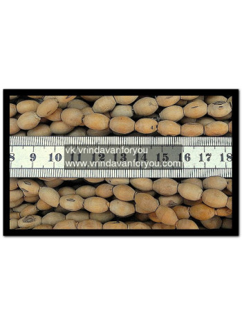 Кантхимала Мриданга: украшение для джапа-малы (1, 2, 3 ряда)