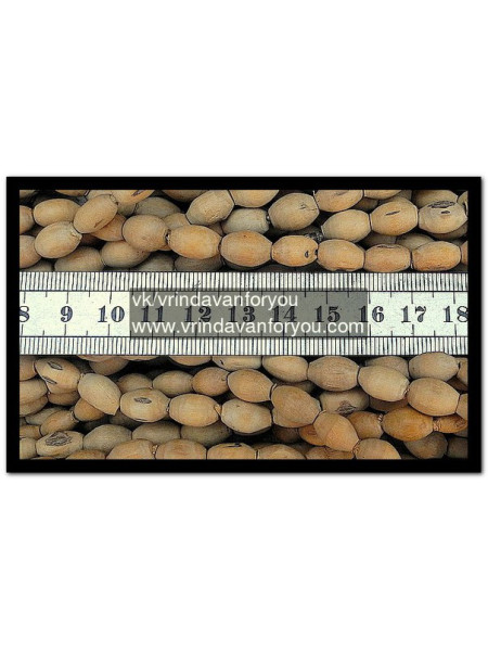 Кантхимала "Мриданга" №2 (1,2,3 ряда) / Kanthimala "Mridanga" №1 (1,2,3 rows)