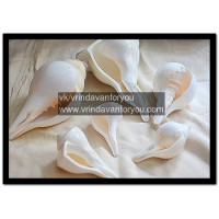 Раковина для абхишеки / Shell for abhishek Раковина для абхишеки / Shell for abhishek