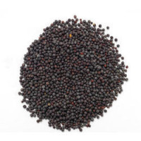 Черная Горчица (семена), 1кг, Black Mustard (seeds), 1 kg
